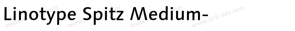 Linotype Spitz Medium字体转换